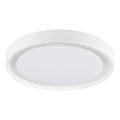 LED Ceiling light PERSE LED/15W/230V white