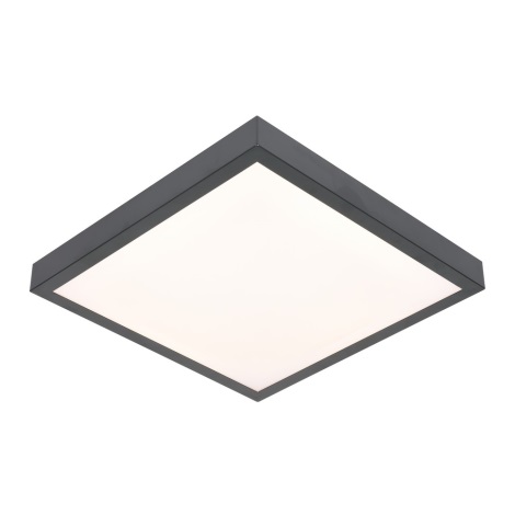 LED Ceiling light VITALI LED/24W/230V