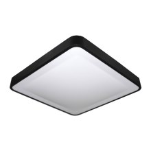 LED Ceiling light WILTON LED/24W/230V black