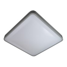 LED Ceiling light WILTON LED/24W/230V grey