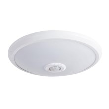 LED ceiling light with a sensor LED/14W/230V