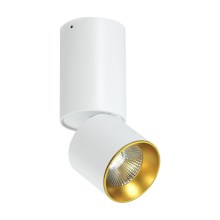 LED Ceiling spotlight LED/10W/230V
