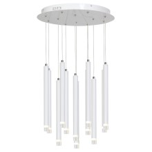 LED Chandelier on a string ALBA 12xLED/1W/230V white