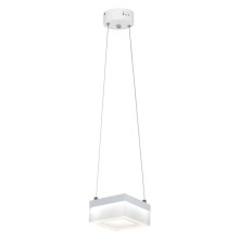 LED chandelier on a string CUBO LED/12W/230V square