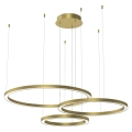 LED Chandelier on a string GALAXIA LED/85W/230V gold