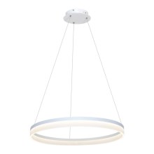 LED chandelier on a string RING LED/36W/230V