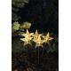 LED Christmas outdoor decoration 5xLED/3xAA IP44 stars