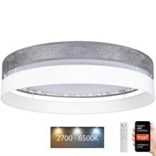 LED Dimmable ceiling light LIMA LED/36W/230V 2700-6500K Wi-Fi Tuya + remote control silver/white