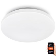 LED Dimmable ceiling light MOON LED/18W/230V 2700-6500K Wi-Fi Tuya