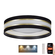 LED Dimmable ceiling light SMART CORAL LED/24W/230V Wi-Fi Tuya black + remote control