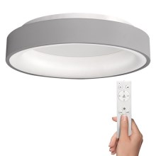 LED Dimmable ceiling light TREVISO LED/48W/230V + remote control