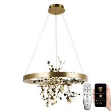 LED Dimmable chandelier on a string LED/40W/230V 3000-6500K gold + remote control
