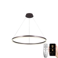 LED Dimmable chandelier on a string LED/55W/230V 3000-6500K + remote control