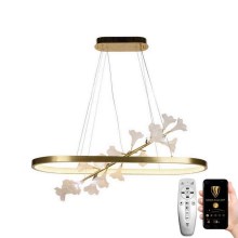 LED Dimmable chandelier on a string LED/65W/230V 3000-6500K + remote control