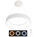LED Dimmable chandelier on a string NEST LED/40W/230V 3000-6500K white + remote control