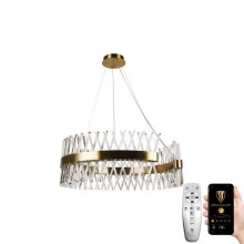 LED Dimmable crystal chandelier on a string LED/175W/230V 3000-6500K gold + remote control