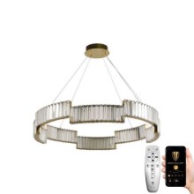 LED Dimmable crystal chandelier on a string LED/60W/230V 3000-6500K gold + remote control