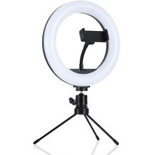 LED Dimmable lamp with tripod and holder for vlogging LED/10W/USB