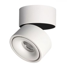 LED Dimmable spotlight LAHTI LED/10,5W/230V 3000K CRI 90 white
