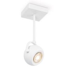 LED Dimmable spotlight NOP 1xGU10/5,8W/230V white
