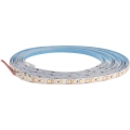 LED Dimmable strip DAISY 30m daylight white