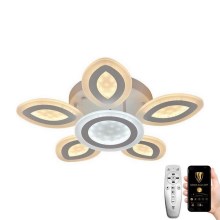 LED Dimmable surface-mounted chandelier LED/95W/230V 3000-6500K + remote control