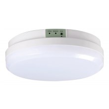 LED Emergency light GLORION LED/15W/230V IP65