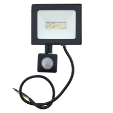LED Floodlight with sensor LED/20W/230V IP44