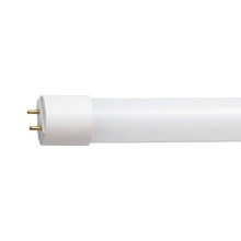 LED Fluorescent tube G13/10W/230V 4000K 60 cm