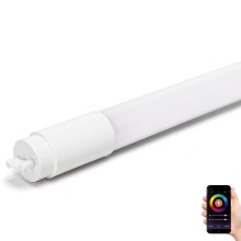 LED Fluorescent tube T8/18W/230V 2700-6500K 120 cm - Aigostar