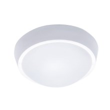 LED Outdoor ceiling light 1xLED/18W/230V  IP65