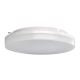 LED Outdoor ceiling light LED/15W/230V IP54