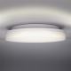 LED Outdoor ceiling light LED/15W/230V IP54