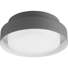 LED Outdoor ceiling light LED/15W/230V IP65