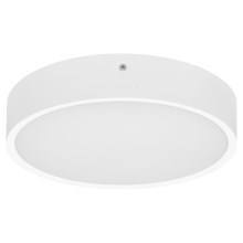 LED Outdoor ceiling light MARTIN LED/25W/230V 3000/4000K d. 35 cm IP65 white