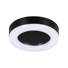 LED Outdoor ceiling light TURA LED/15W/230V 4000K IP54 black