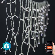 LED Outdoor Christmas curtain 400xLED/8 functions 11m IP65 Wi-Fi Tuya cool white