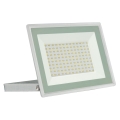 LED Outdoor floodlight NOCTIS LUX 3 LED/100W/230V 4000K IP65 white