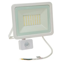 LED Outdoor floodlight with a sensor NOCTIS LUX 2 LED/50W/230V 3000K IP44 white