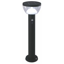 LED Outdoor solar lamp with a sensor LARIX LED/3W/3,7V IP44