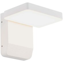 LED Outdoor wall flexible light LED/17W/230V IP65 3000K white
