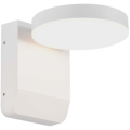 LED Outdoor wall flexible light LED/17W/230V IP65 4000K white