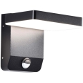 LED Outdoor wall flexible light with sensor LED/17W/230V IP65 4000K black