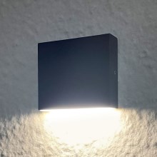 LED Outdoor wall light CHICAGO LED/3,5W/230V IP44 black