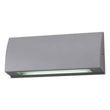 LED Outdoor wall light LED/10W/230V IP54
