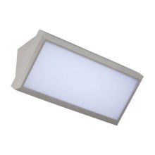 LED Outdoor wall light LED/12W/230V 6400K IP65