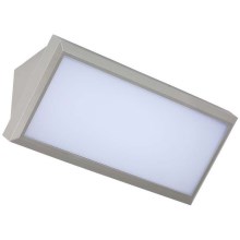 LED Outdoor wall light LED/20W/230V 3000K IP65 grey
