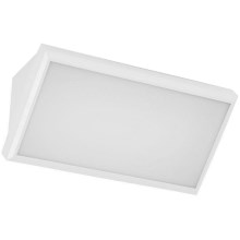LED Outdoor wall light LED/20W/230V 3000K IP65 white
