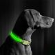 LED Rechargeable dog collar 35-43 cm 1xCR2032/5V/40 mAh green