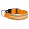 LED Rechargeable dog collar 35-43 cm 1xCR2032/5V/40 mAh orange